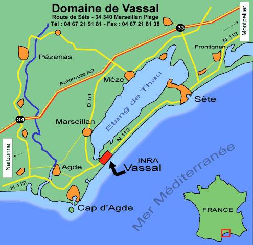 1462874_10152005858221357_605121363_n